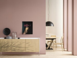 MADIA CLIO 1 ALTA CORTE - immagine 3
